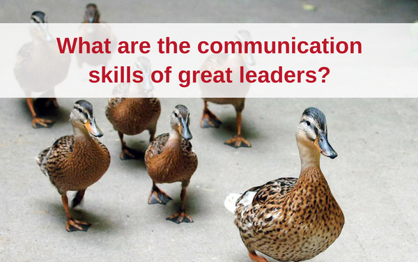 Image of a duck leading a group of ducks with a text that reads: "What are the communication skills of great leaders?"